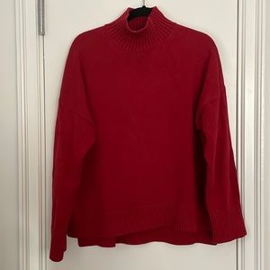 Everlane Cotton Turtleneck Sweater